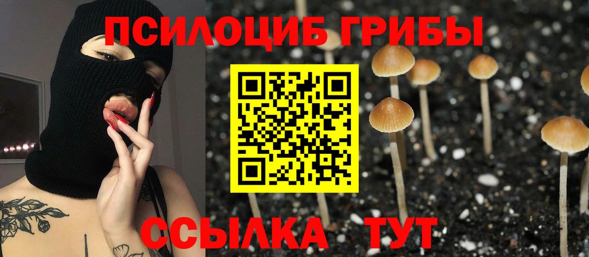 Верхняя Пышма  Псилоцибиновые грибы мухоморы  купить  сайты  Вход с VPN 